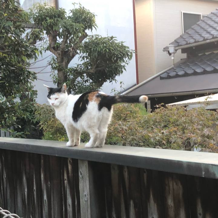 7d9bc35b 6758 408c 89de e40dfd96e023 1604874644953