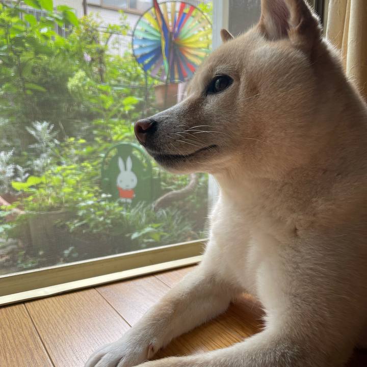 7d9bcc42 ad56 4ff5 8ee7 e2b40f291559 1661471670628