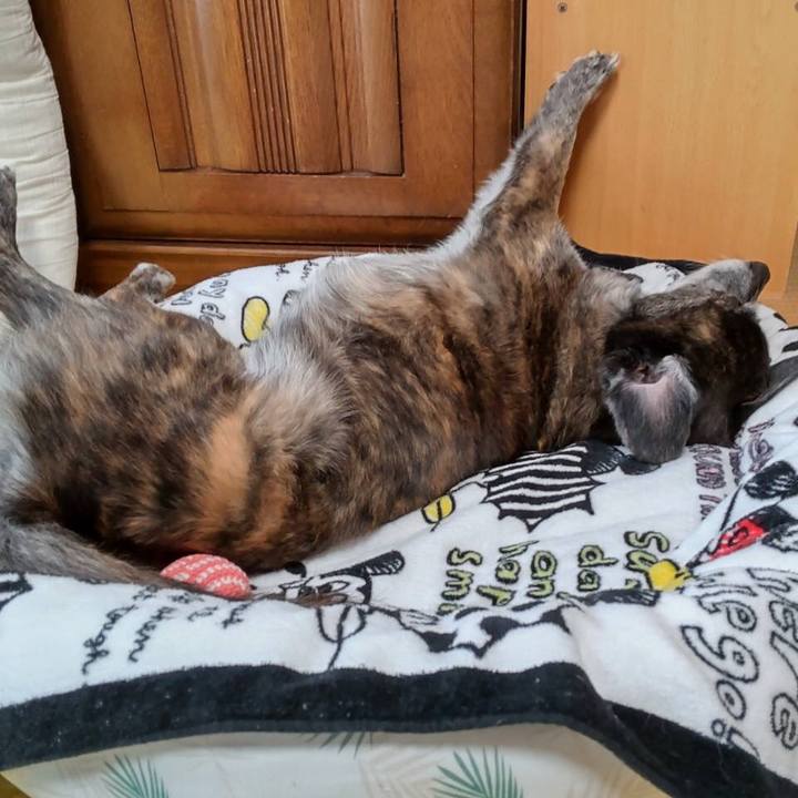 7d9c0f9e d9f0 4f5b b2b2 3cbaa4bbdef8 1684730189685