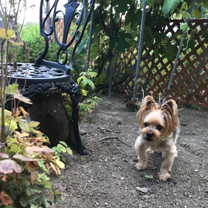 7d9c2cf3 0100 4d76 a150 834310ffc9df 1628415017362