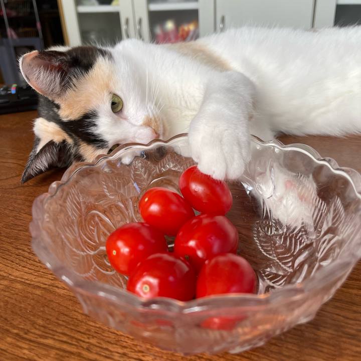 7d9c5e8f 14d1 41ad 8c3d 5aa32187c4b4 1706495819223