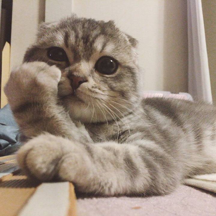 7d9c79f9 02e3 40ea 9615 f8e2e8d79554 1586395064500