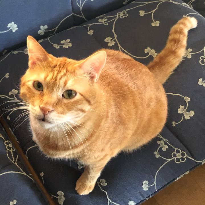 7d9cad32 3d67 4853 ab10 fb107f9822bf 1565043831594