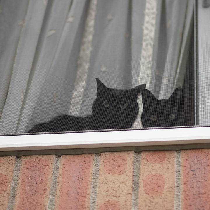 7d9d2928 6e9c 4734 ab51 fb1bf6e81118 1557877331810