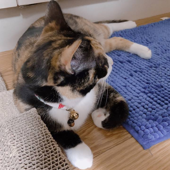 7d9d69e1 302a 49c4 8481 e143aff45938 1570279787957