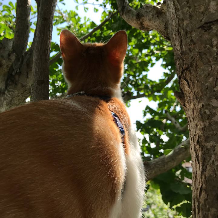 7d9d73a1 c62c 4d56 9b82 a607aa7d2cb1 1534295461483