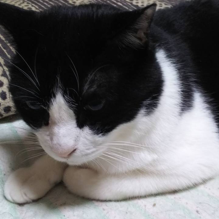 7d9dd08a 1176 4b36 82eb afb6904befd9 1558993559830