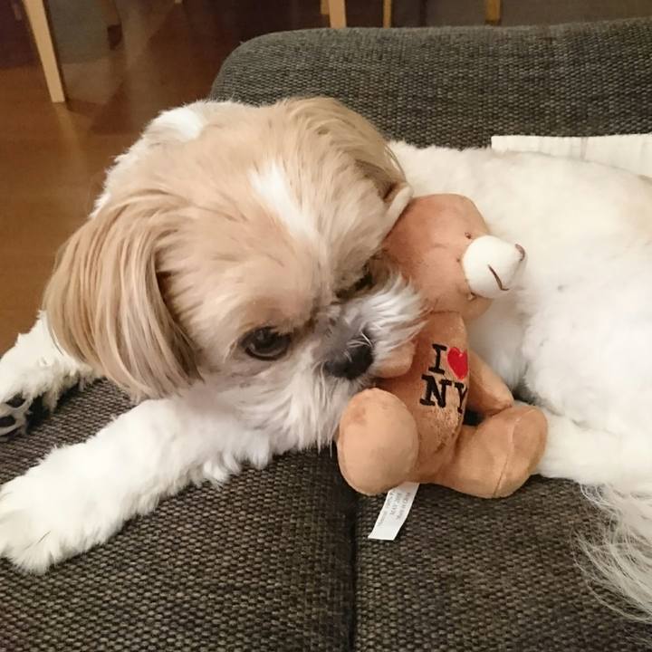 7d9ddf36 9489 4b2c a7b5 1646a25f43bf 1562328981570