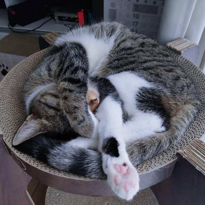 7d9e60c8 b3ba 4e09 b423 c410639090d5 1684584587506