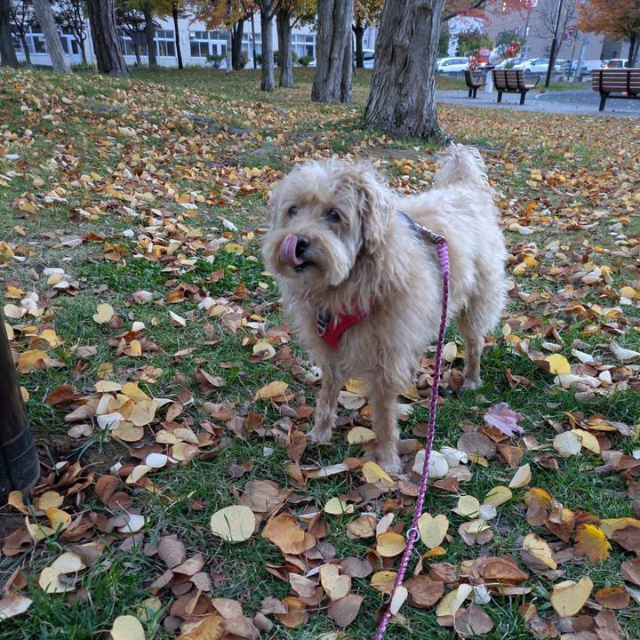 7d9edf6d 4d9a 4609 97ca ac404eae5f0d 1761548250892