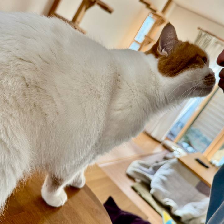 7d9ef2e5 b5ef 49db a21f aebb66444dbd 1763774434450