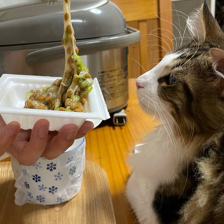 7d9ef3dc 9f9d 4f69 9ede e7b96844b6ac 1636451187896