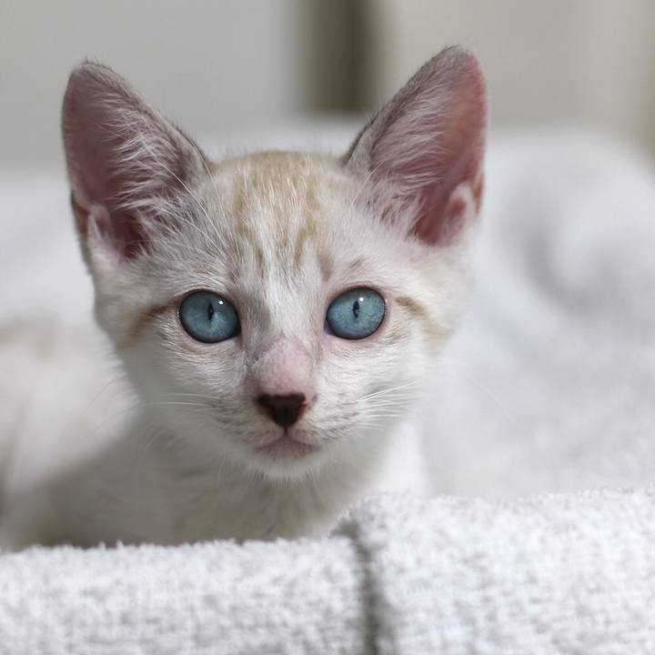 7d9efe88 f535 46d2 b4a8 1baef985230d 1598484315898