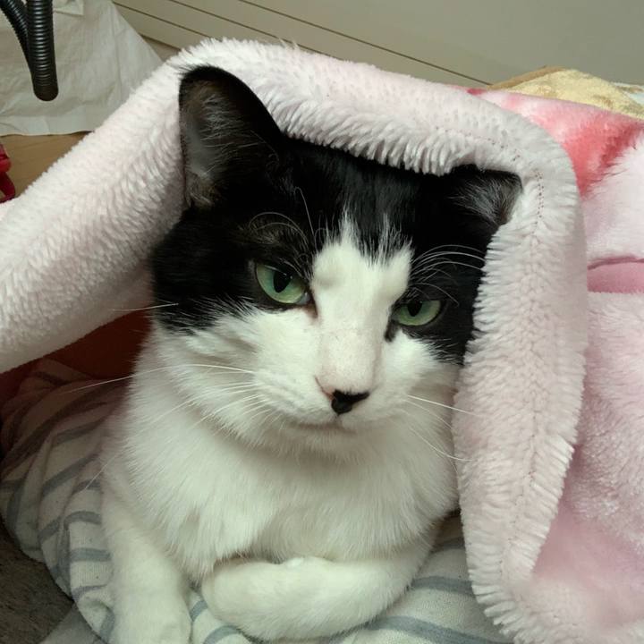 7d9f229e 092e 4f7e 957d 6b9e46dc8e6f 1740868120796