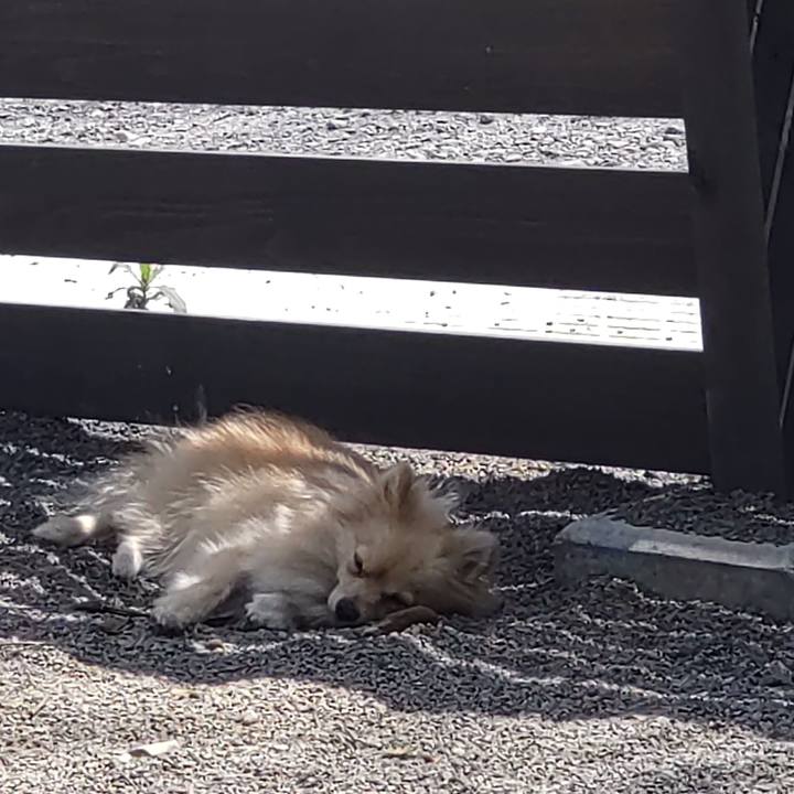 7d9f44ff 43dd 47a8 80bf 839c88fa745c 1756877599108