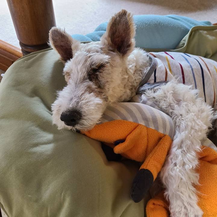 7d9f5340 af4c 40fe 8493 707d98eafc75 1687386797385