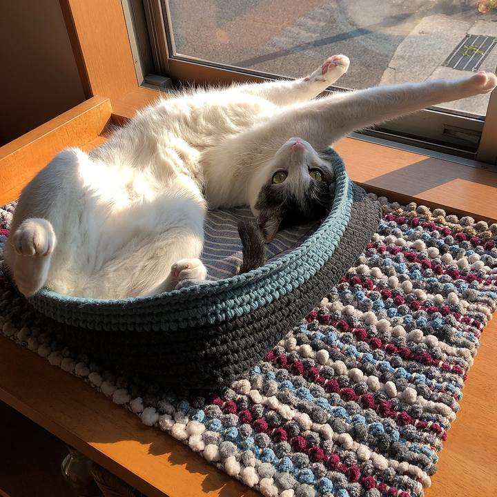 7d9f657a b762 4ec0 9b26 df61f1dd1799 1653173415950