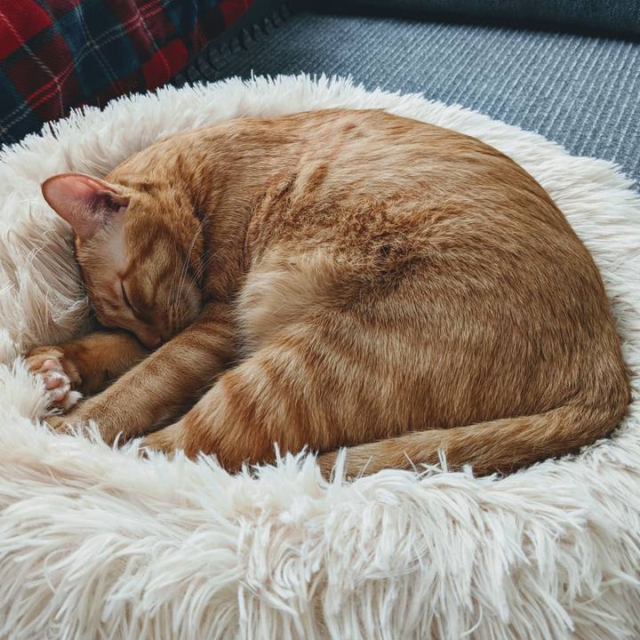 7d9f6e30 2d14 4e37 9ac1 b41242af7458 1638077452540