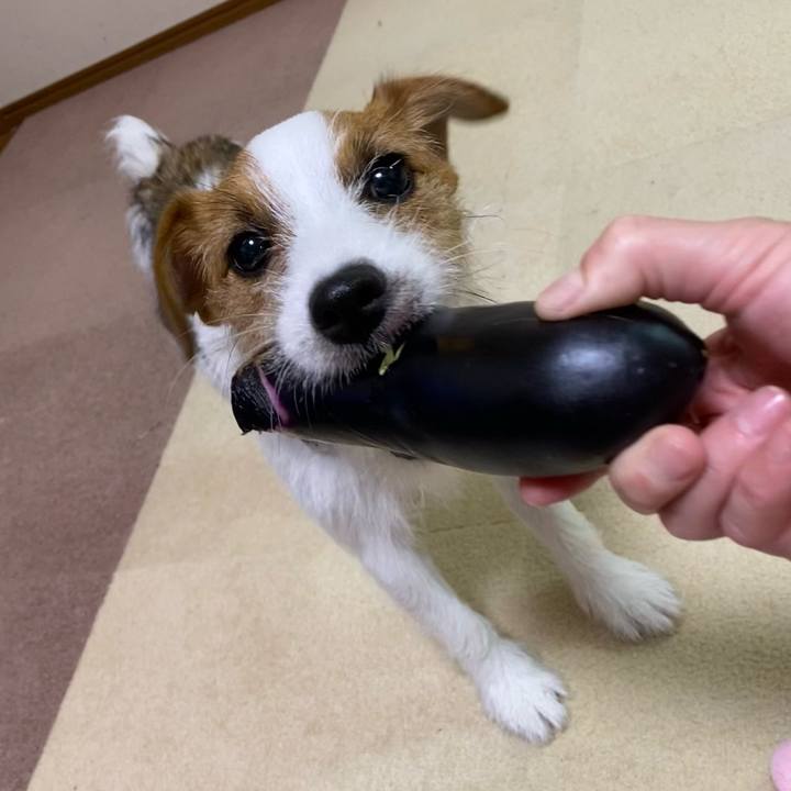 7d9f78b3 1704 4a0e 90f0 1d10081c3a98 1628256662635