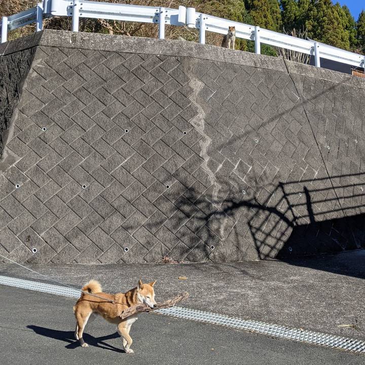 7d9f7a3f a470 4103 b5b3 e6b8f0572daf 1640038258164