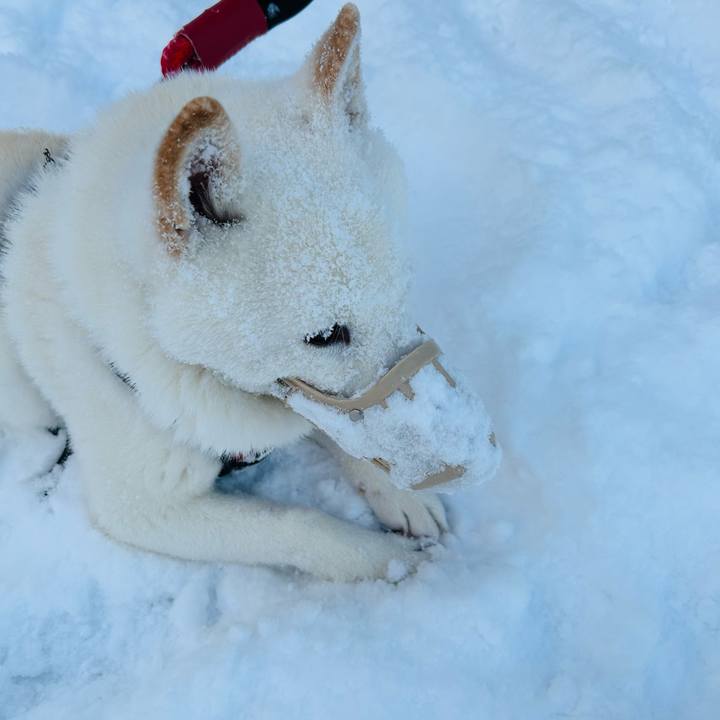 7d9f7aa4 c983 4515 8ca0 fee5d6dc1744 1705964907908