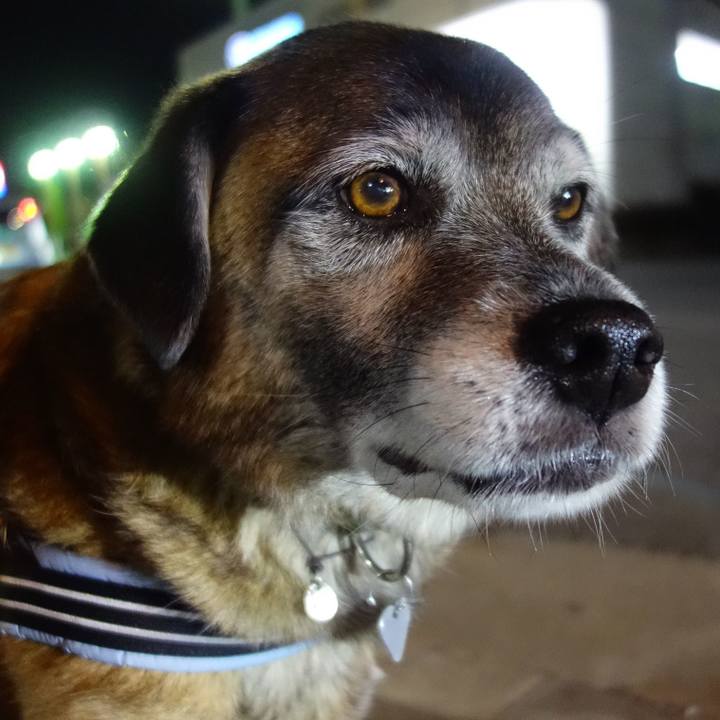 7d9f7c5f de40 4149 a7c2 b43c68bf8293 1653008252369