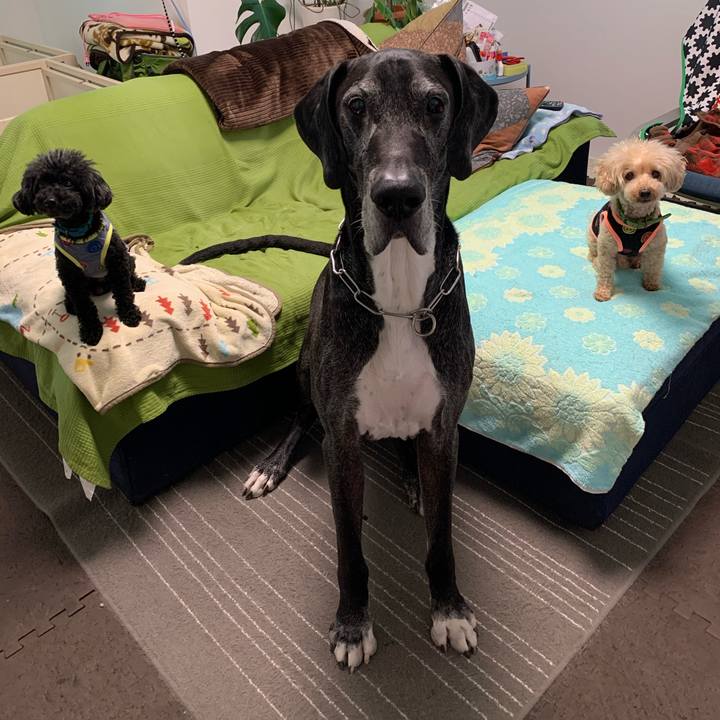 7d9f970f f900 4929 b3e0 cc601e4b5c90 1591656323583