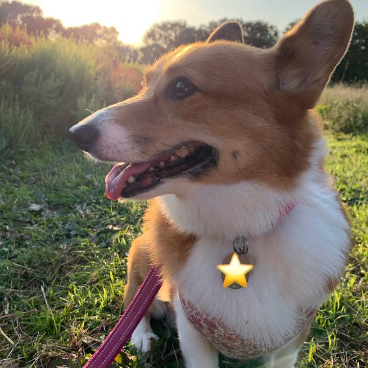 7d9f9cdf 13ee 4688 8698 06cd1431ab6f 1572681290880