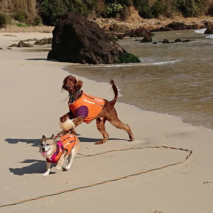 7d9fac97 1383 4999 b62b 0665b8beee0e 1543060316905