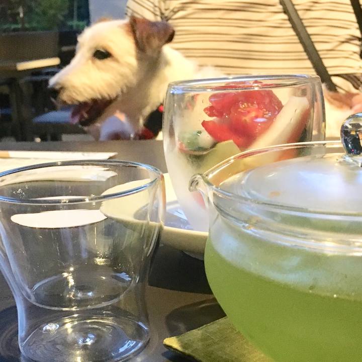 7d9fcd2d 0345 4be2 a760 dd7b15be0c5d 1565614073833