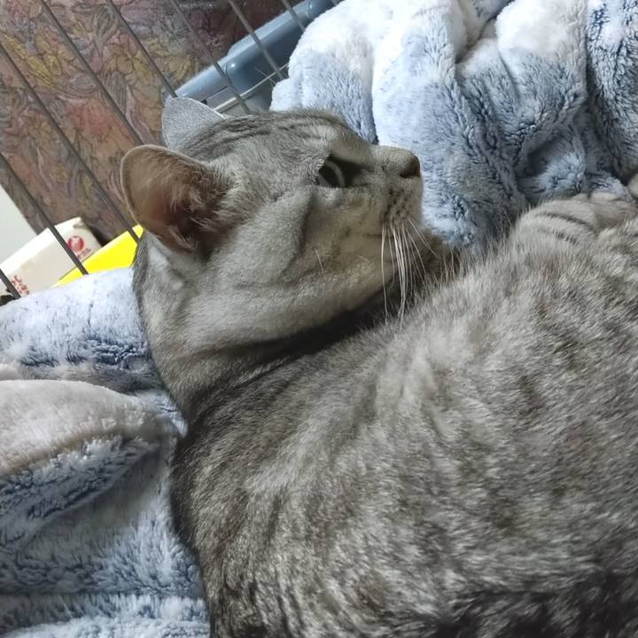 7d9fd3fb e68c 42bc 88df 7872f0fb5eb9 1599135267332