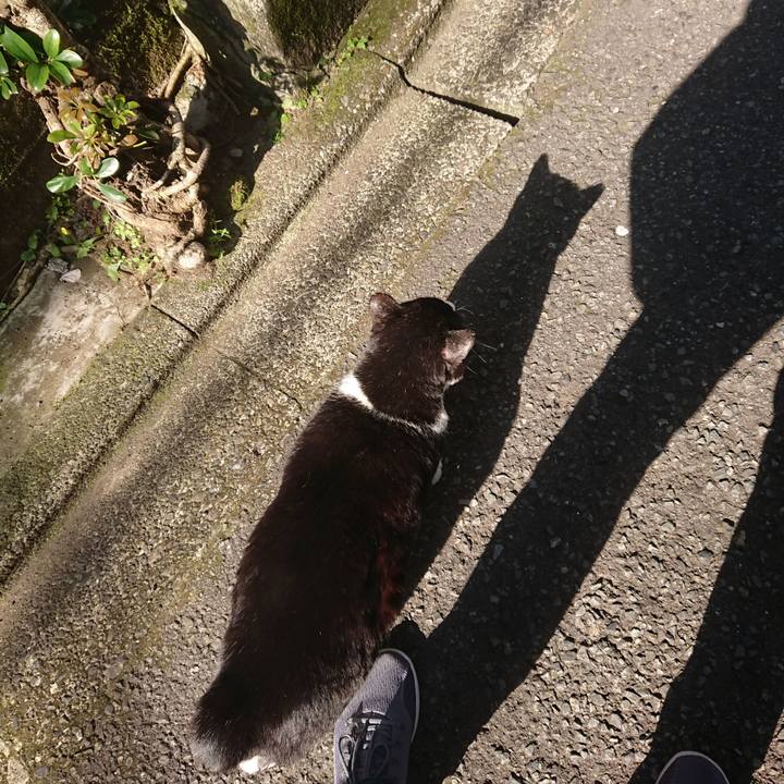 7d9ff11f 2cbd 42f2 8bb3 6f4390a2805c 1588303394619