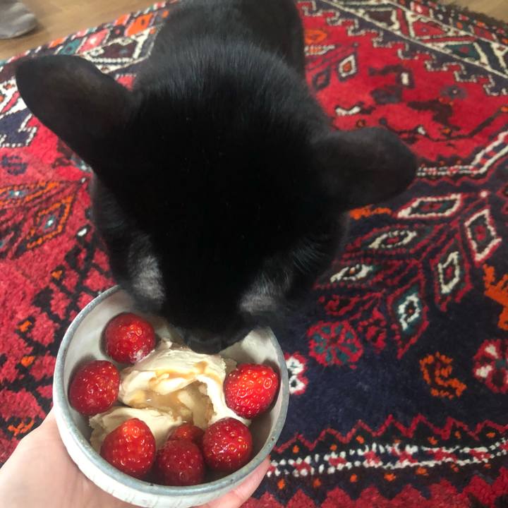 7d9ffef5 e5ae 4834 b4d2 81f84bbcf702 1615598430976