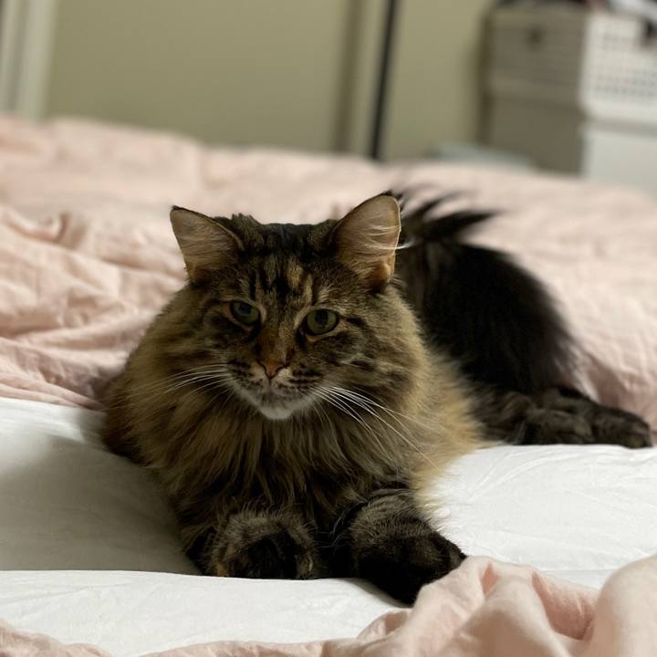 7da00d55 47a2 4885 854d fc3232117520 1724264821870