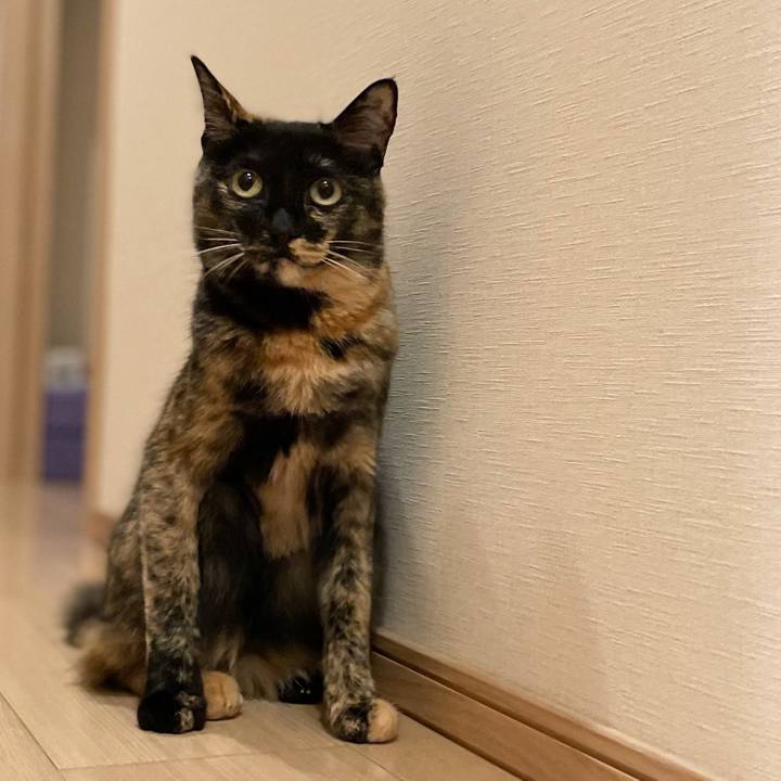 7da01157 0796 4446 b519 f883da4ed81c 1657934916557