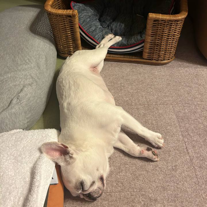 7da02b1f 3608 45dc 8b7c 60f6e122fbb9 1724747551577