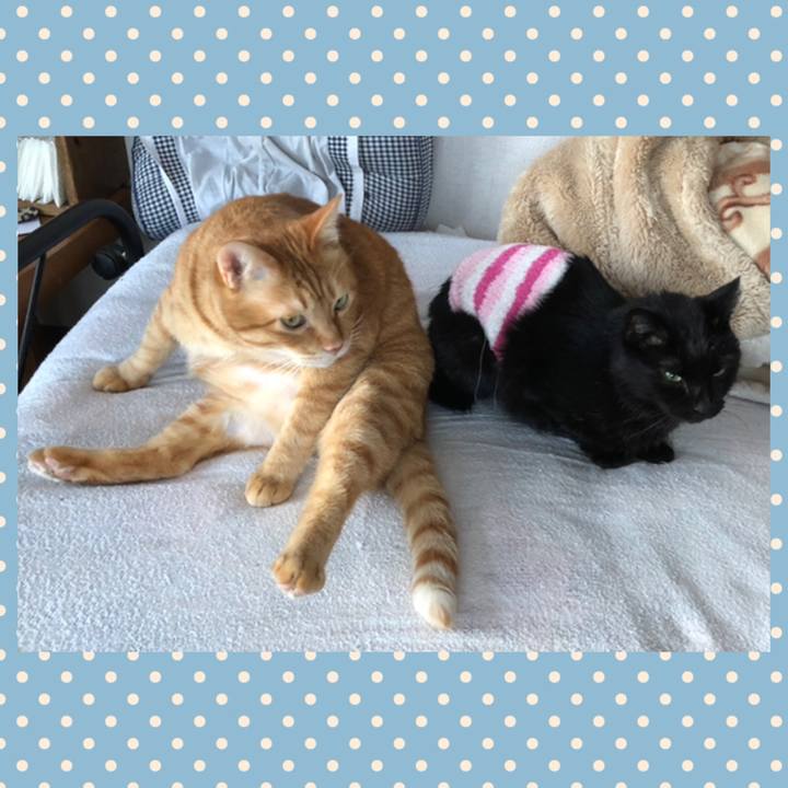 7da03079 e9e2 4f48 930e 50c885e044de 1610750335624