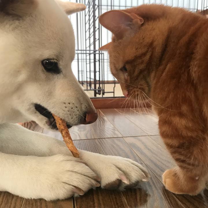 7da0619c 7b88 4860 a384 91c42a03c376 1519087435147