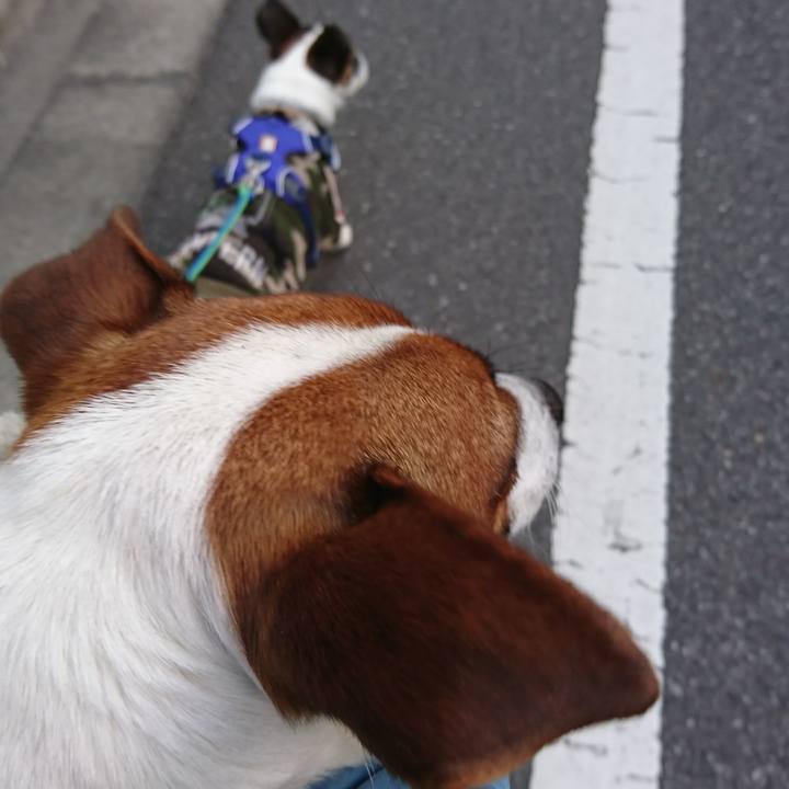 7da06534 8017 447e b38d 7fd4a0ce0ba5 1611302178670