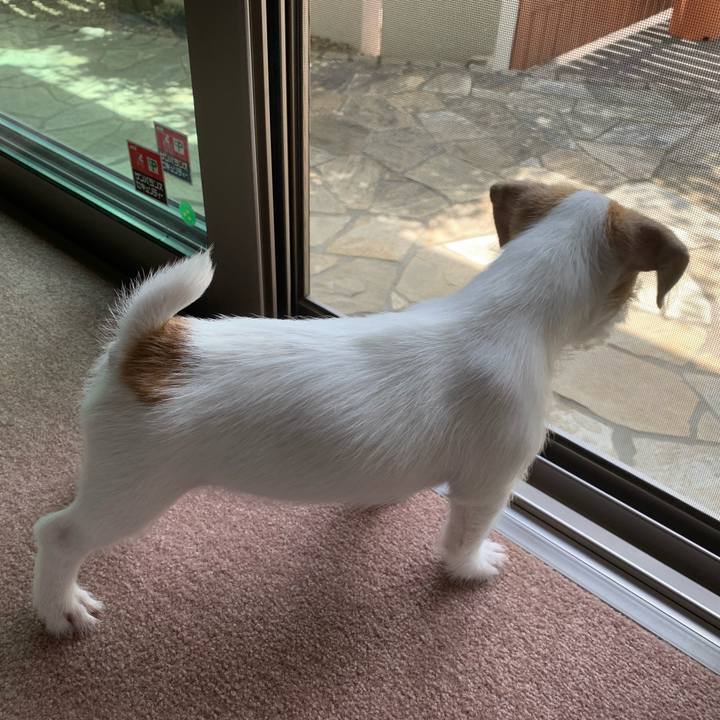 7da0819f 9940 47e4 8905 d46a2a487eae 1559526455679