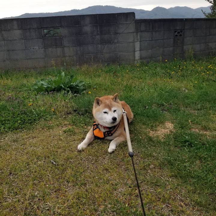 7da0abf1 ce0e 4bb4 9826 5f340913b30e 1714204273707