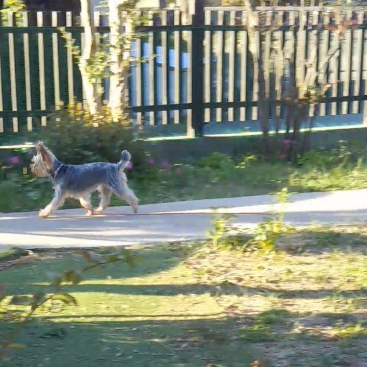 7da0b00b 0f6d 4733 9c60 f8757307998e 1633602525663