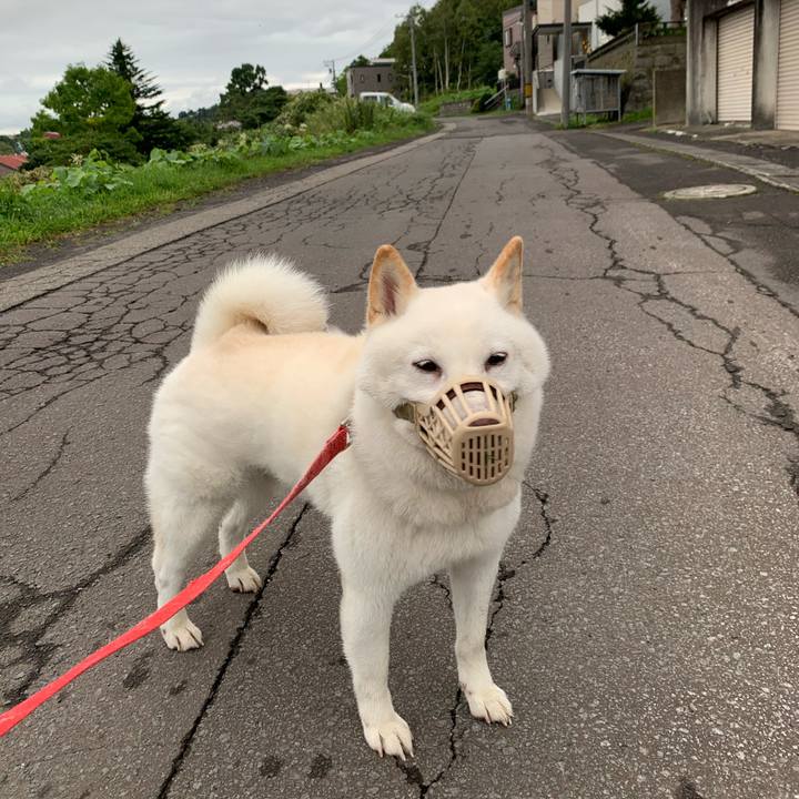 7da0cfe1 dc8e 4eaa 82a7 040a9f62088b 1598823025893