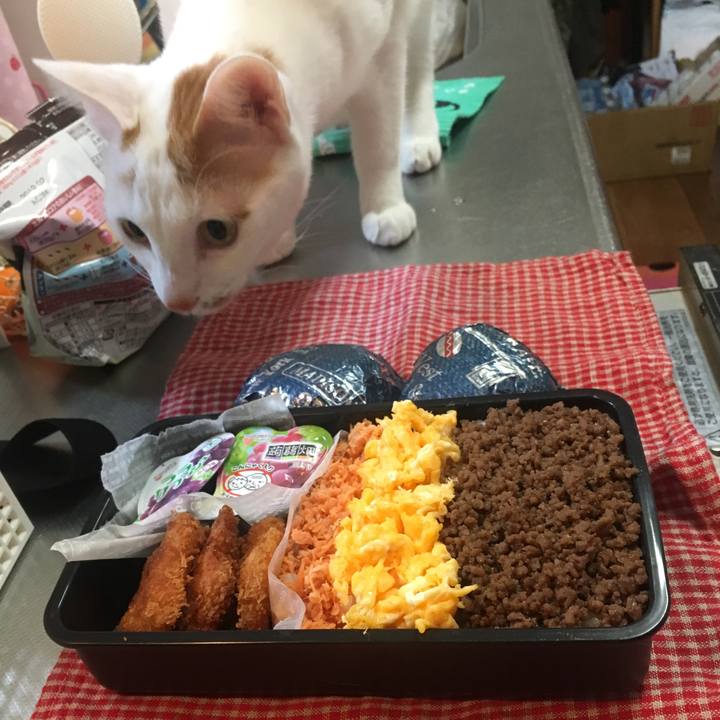 7da0d1bc fc13 4201 8ca4 f1a6e3650f2d 1515675159908