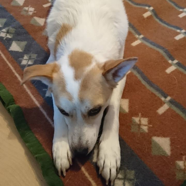 7da0d5f9 a223 45c8 9c85 ecd5a7aa95e1 1522317270233