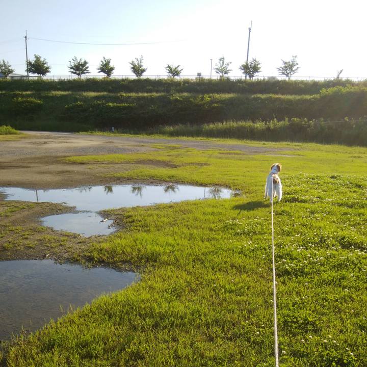 7da0e181 81e8 4dd3 ba3d acb11688ff9b 1527855303332