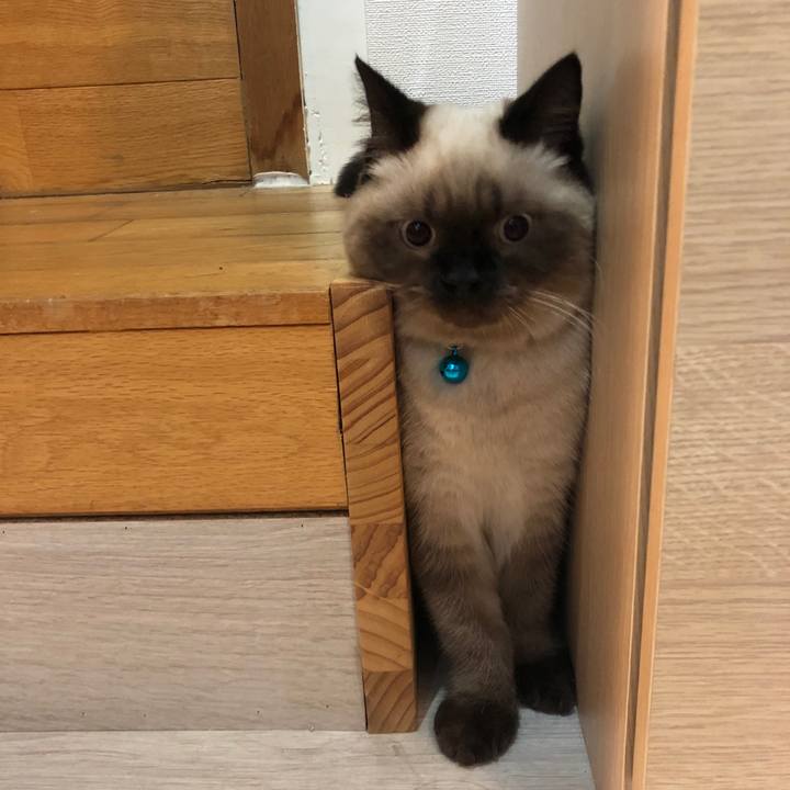 7da0e516 9f9e 47e1 b13e 3c8641d3a061 1594178515926