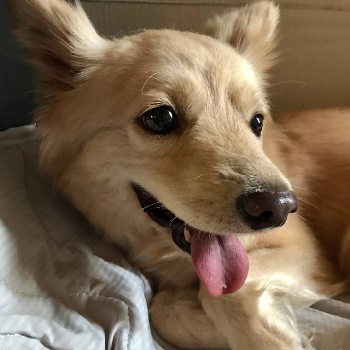 7da10eb4 f0e6 4810 b315 aa3fa627d694 1623631003728