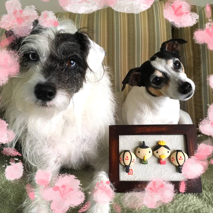 7da14df5 6899 4093 8bfb c80479b0cb7f 1520030703309