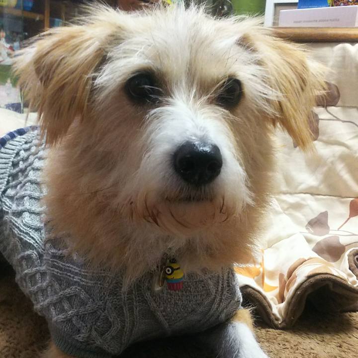 7da1866e 6a79 4735 b8db aa157ef1813c 1512016859935